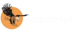 asrionline.com